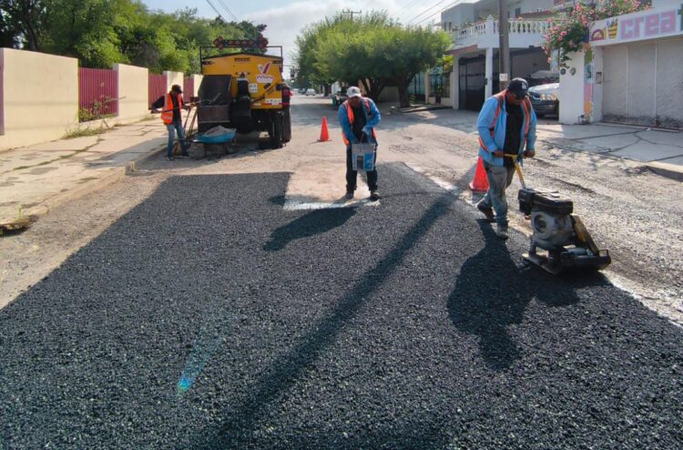 Cuadrillas siguen eliminando baches de avenidas y calles de Victoria