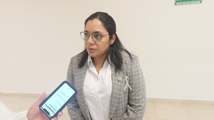 En 6 meses del 2024, Tamaulipas registró 3,287 casos de violencia familiar