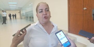 Cuestiona diputada Ley de Amparo por violar derechos