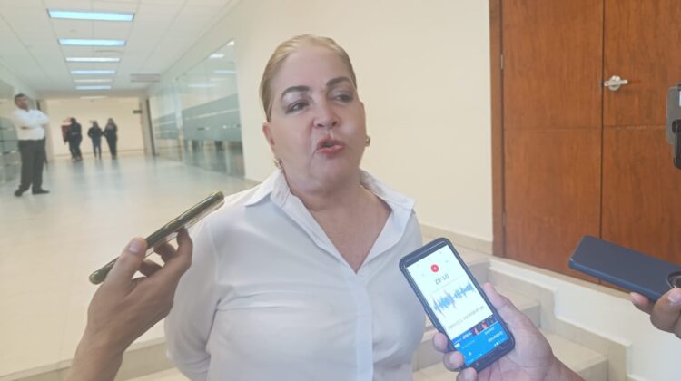 Cuestiona diputada Ley de Amparo por violar derechos