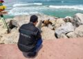 Piden proteger a fauna silvestre en las principales ciudades de Tamaulipas