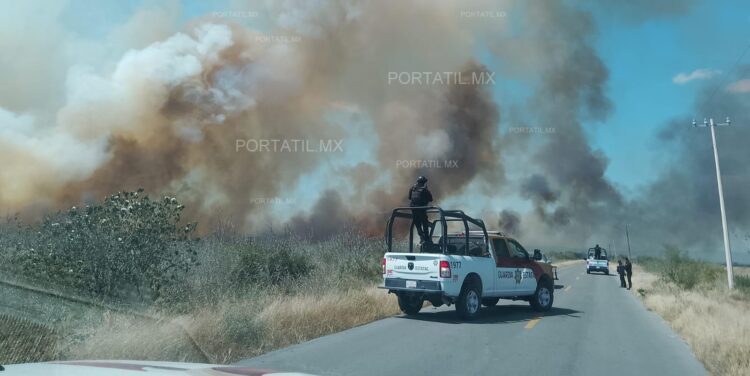 Se multiplican incendios forestales en Tamaulipas