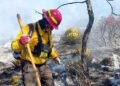 Fuego avanza sin tregua y pone en riesgo a Miquihuana, Tamaulipas