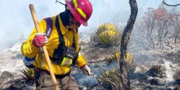 Fuego avanza sin tregua y pone en riesgo a Miquihuana, Tamaulipas