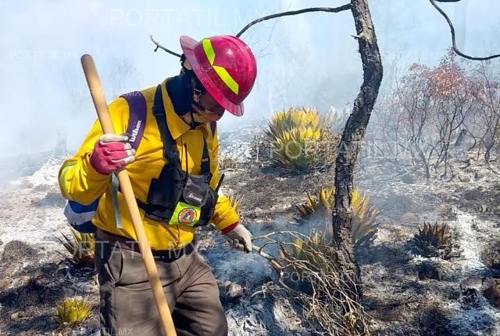 Fuego avanza sin tregua y pone en riesgo a Miquihuana, Tamaulipas