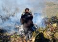Surge otro incendio en área de la mariposa monarca en Miquihuana