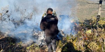 Surge otro incendio en área de la mariposa monarca en Miquihuana
