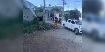 Bomberos sofocan múltiples incendios de pastizal en Victoria
