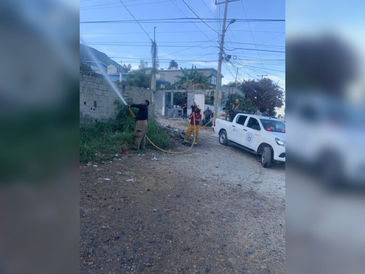 Bomberos sofocan múltiples incendios de pastizal en Victoria