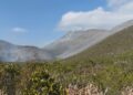 Trasladan a 82 brigadistas para combatir a incendio en cerro El Tepozán, en Bustamante