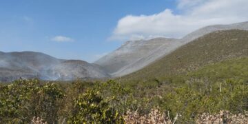 Trasladan a 82 brigadistas para combatir a incendio en cerro El Tepozán, en Bustamante