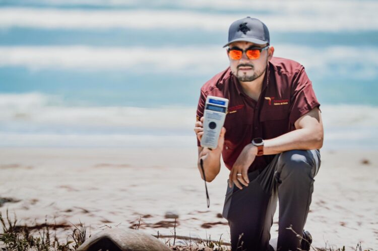 Preparan operativos en playas de Tamaulipas por arribo de tortugas
