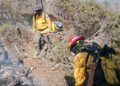 Tamaulipas ocupa  tercer lugar nacional en incendios forestales: Conafor