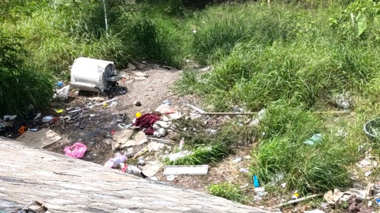 Plantean rescate urgente del río San Marcos ante lcontaminación