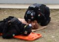 Tamaulipas supera 6 mil certificaciones policiales y avanza a nivel nacional