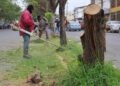 Limpieza de espacios públicos en Victoria es permanente