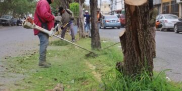 Limpieza de espacios públicos en Victoria es permanente
