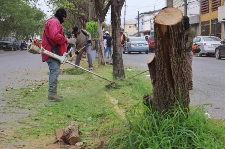 Limpieza de espacios públicos en Victoria es permanente