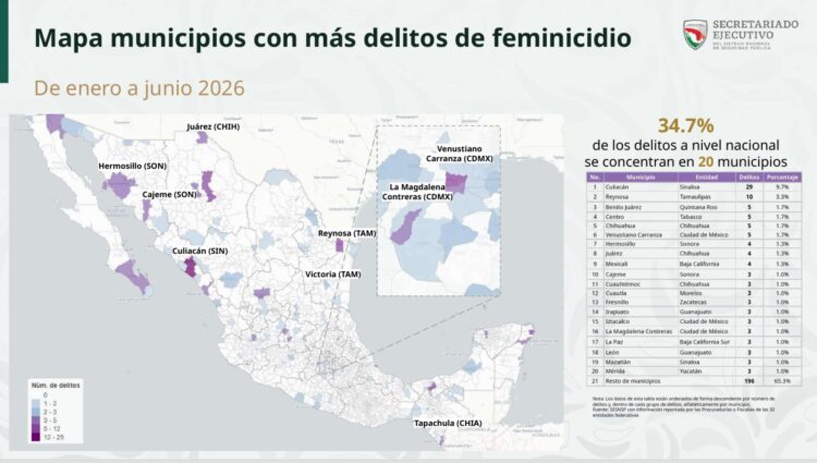 Escala Tamaulipas al quinto lugar por feminicidios