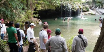 Blindan el pulmón ecológico de Los Troncones