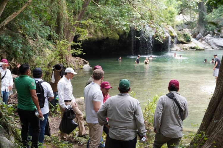 Blindan el pulmón ecológico de Los Troncones