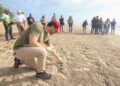 Tamaulipas refuerza protección de tortuga lora con cifras históricas