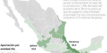 Mantiene Tamaulipas octavo lugar nacional en caña