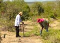 Reforestan 10 hectáreas frente a mil 608 devastadas por incendios forestales en Tamaulipas