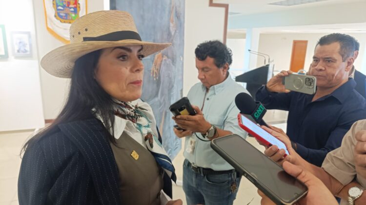 Alumnos rurales de San Fernando toman clases sin energía eléctrica, denuncia diputada