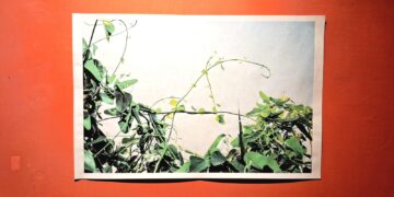 Inaugura Jorge Fuentes García “Indómitas”, una mirada a la naturaleza que resiste al borde del camino