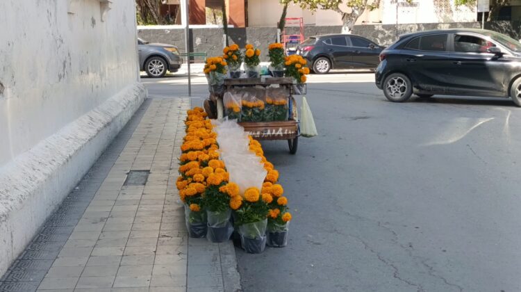 Venta de cempasúchil pasa casi desapercibida en el centro de Ciudad Victoria